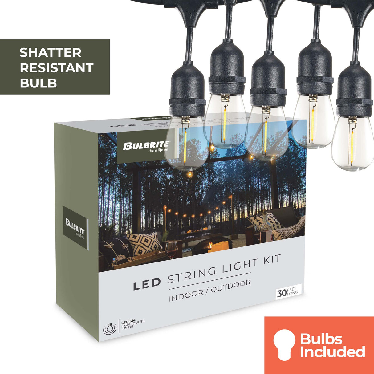 Bulbrite 812313 Bulbrite 30-foot String Light Kit with Clear Shatter Resistant Vintage Style S14 LED Light Bulbs