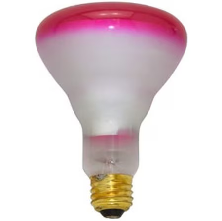 Damar 20828B 65BR30FL/PK 65W BR30 Pink Flood 130V
