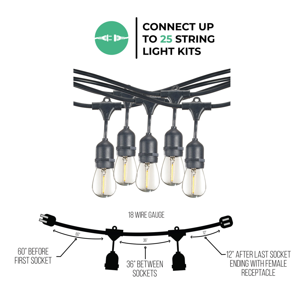 Bulbrite 812483 Bulbrite 48-foot String Light Kit with Clear Shatter Resistant Vintage Style S14 LED Light Bulbs