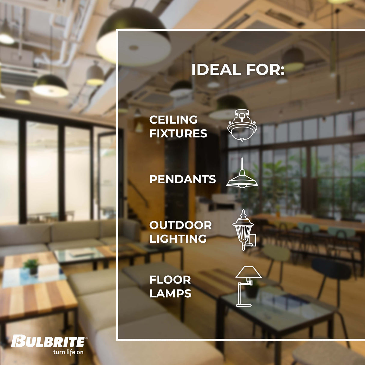 Bulbrite 861619 Bulbrite LED Filament Pack of 8, 7 Watt Dimmable ST18 Light Bulb with Clear Finish and Medium Screw E26 Base - 3000K(Soft White Light), 800 lumens