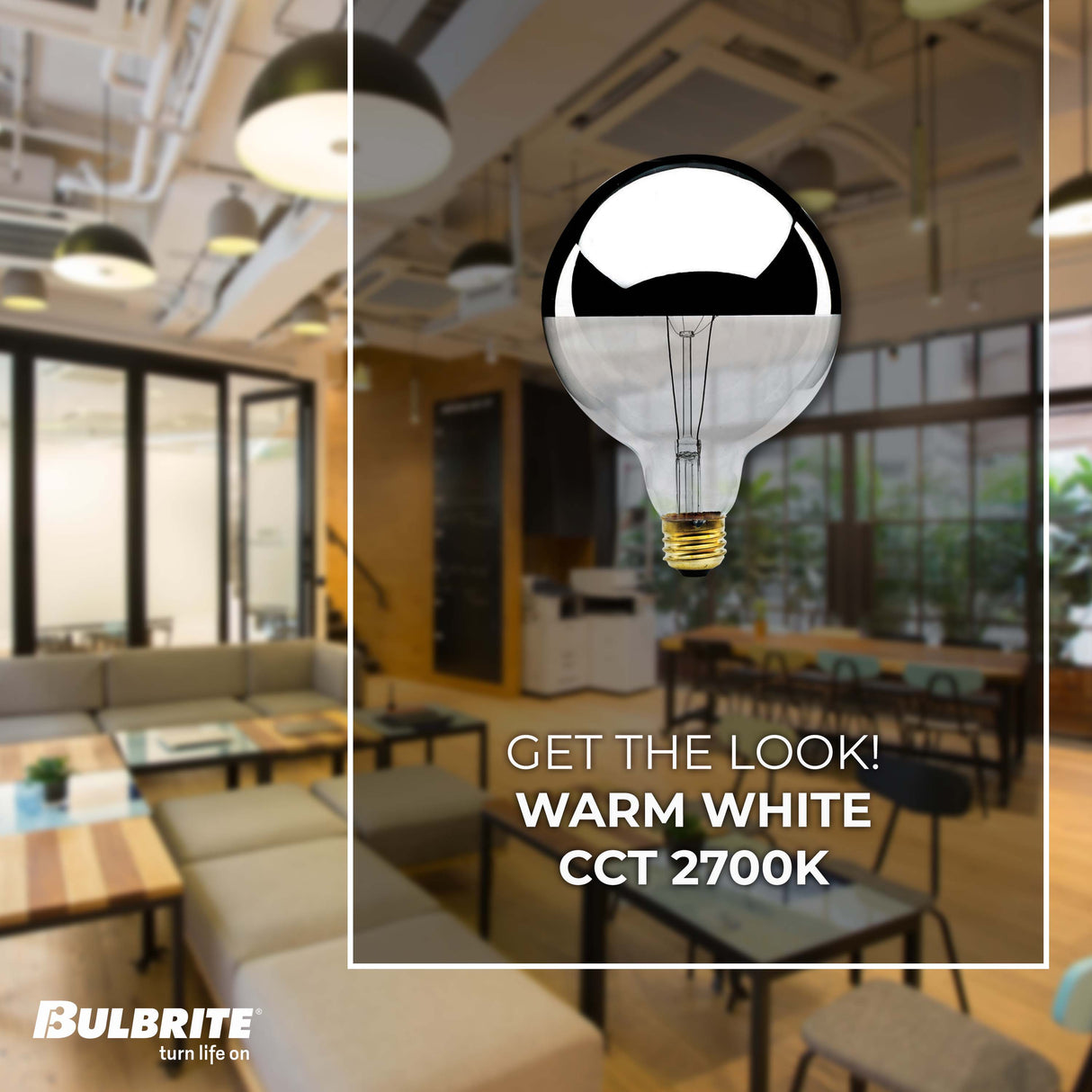 Bulbrite 862026 60W Incandescent G40 Light Bulb 2700K Dimmable E26 520 Lumens 120V 6PK