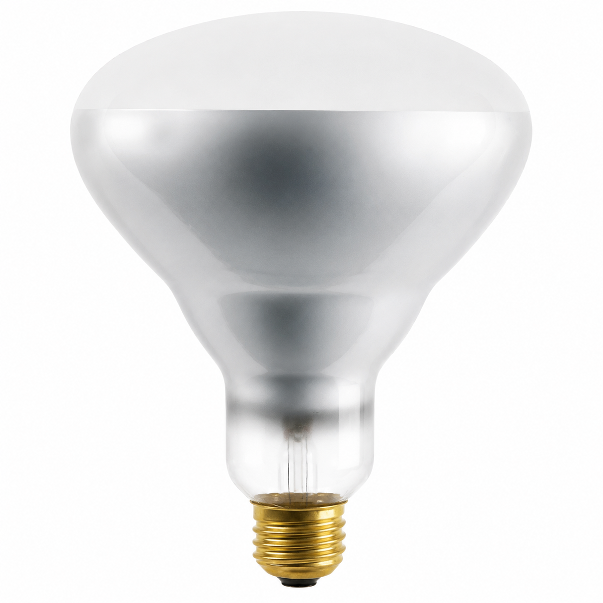 DAMAR 04825E 120BR40/FL/RS 120W BR40 Incandescent Flood E26 130V
