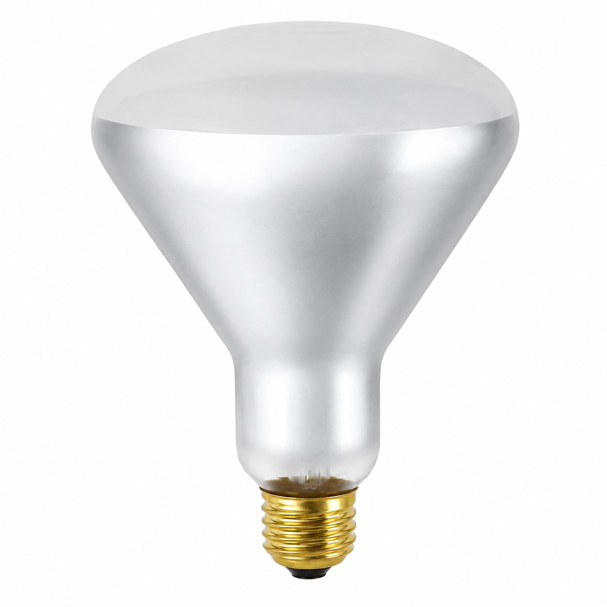 DAMAR 04823A 65BR40/FL 65W BR40 Incandescent Flood E26 130V
