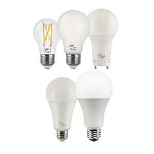 LED A-Type Bulbs