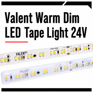 Valent Warm Dim LED Tape Light 24V
