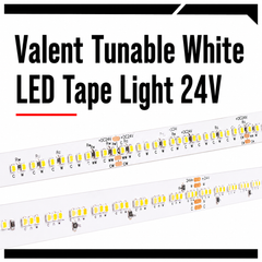 Valent Tunable White LED Tape Light 24V