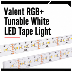 Valent RGB+ Tunable White LED Tape Light