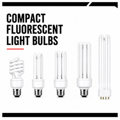 Compact Fluorescent Bulbs