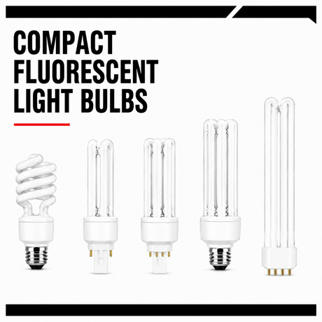 Compact Fluorescent Bulbs