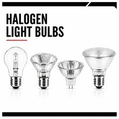 Halogen Light Bulbs