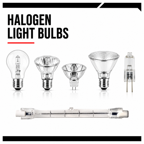 Halogen Light Bulbs