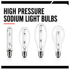 High Pressure Sodium Bulbs