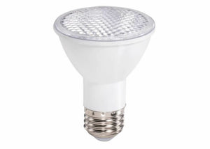 LED PAR20