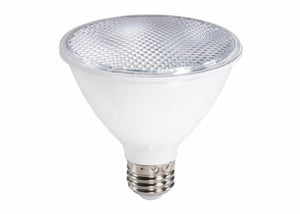 LED PAR30 Short Neck