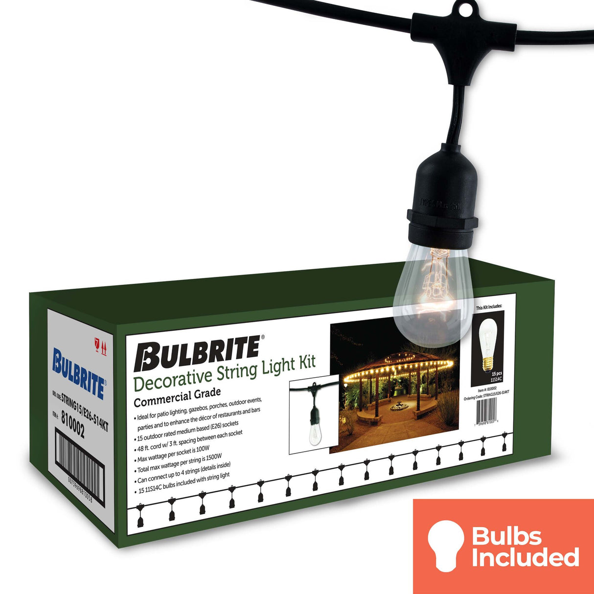 Bulbrite 862822 Bulbrite 48-foot String Light Kit with Clear Vintage Style S14 Incandescent Light Bulbs, 2-pk