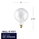 Bulbrite 861133 Bulbrite Pack of (12) Incandescent G40 Medium Screw Base (E26) Light Bulb, 60 Watt, Clear