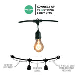 Bulbrite 810004 Bulbrite 48-foot String Light Kit with Nostalgic Loop Filament A19 Incandescent Light Bulbs