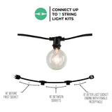 Bulbrite 810054 Bulbrite 14 ft, 10-Socket Decorative String Light Kit with Clear Incandescent Globe (G16) Bulbs, 14 ft, Black, 14 ft