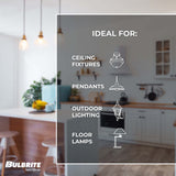Bulbrite 862911 Bulbrite LED 8.5 Watt Dimmable ST18 Light Bulb with a Clear Finish and a Medium Screw E26 - 3000K (Soft White Light) 850 lumens