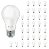 Bulbrite 861718 Bulbrite LED Filament Pack of (36) 9 Watt Dimmable A19 Light Bulb with Frost Glass Finish and Medium (E26) Base - 3000K (Soft White Light), 800 Lumens