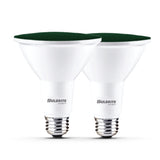 Bulbrite 861909 90-Watt Equivalent, Green Color PAR38 Weatherproof Outdoor E26 Medium Base Flood LED Light Bulb