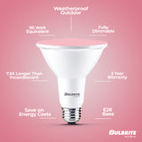 Bulbrite 861910 90-Watt Equivalent, Pink Color PAR38 Weatherproof Outdoor E26 Medium Base Flood LED Light Bulb