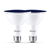 Bulbrite 861911 90-Watt Equivalent, Blue Color PAR38 Weatherproof Outdoor E26 Medium Base Flood LED Light Bulb