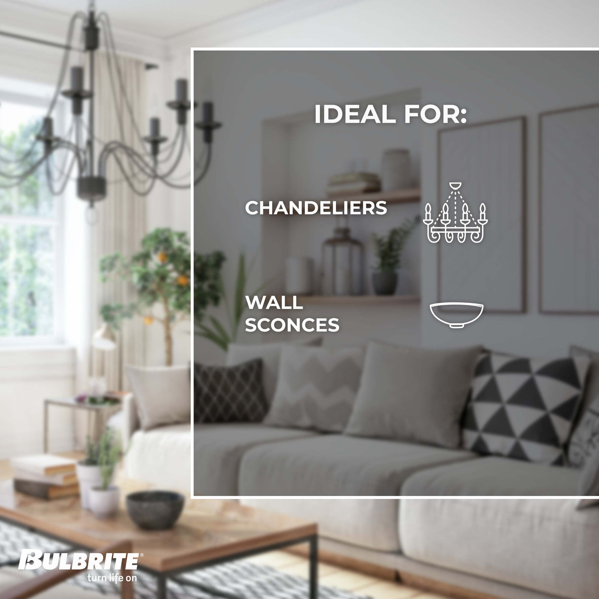 Bulbrite 862923 Bulbrite LED 2.5 Watt Dimmable T6 Light Bulb with a Clear Finish and a Candelabra Screw E12 - 3000K (Soft White Light) 250 lumens