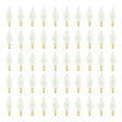 Bulbrite 861988 25W Incandescent Ca8 Light Bulb 2700K Dimmable E12 220 Lumens 120V 50PK