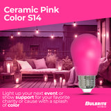Bulbrite 862323 25-Watt Equivalent Ceramic Pink Color S14 Weatherproof Outdoor E26 Medium Base 
LED Light Bulb