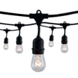 Bulbrite 862816 Bulbrite 14-foot String Light Kit with with Clear Vintage Style S14 Incandescent Light Bulbs, 2-pk
