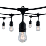 Bulbrite 862816 Bulbrite 14-foot String Light Kit with with Clear Vintage Style S14 Incandescent Light Bulbs, 2-pk