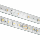 Diode LED DI-24V-BLBSC3-50-W016 16.4ft Spool Blaze 300+ Lumen Per Foot Wet Location LED Tape Light 5000K 24V DC
