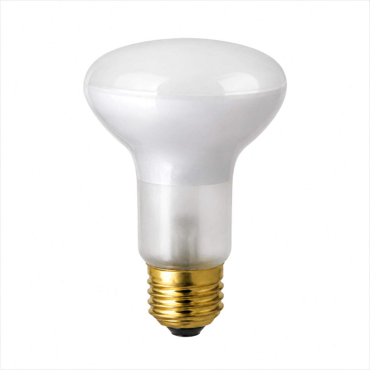 DAMAR 00172B 30R20/FL 30W R20 Incandescent Flood E26 Base 130V