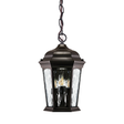 Euri Lighting EHL-130W-MD 12.5 Watt LED Outdoor Decorative Bronze Chain Hung Fixture 3000K 120V