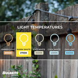 Bulbrite 862820 Bulbrite 48-foot String Light Kit with Clear Vintage Style S14 Incandescent Light Bulbs, 2-pk
