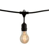 Bulbrite 862823 Bulbrite 48-foot String Light Kit with Nostalgic Loop Filament A19 Incandescent Light Bulbs, 2-pk