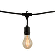 Bulbrite 810004 Bulbrite 48-foot String Light Kit with Nostalgic Loop Filament A19 Incandescent Light Bulbs