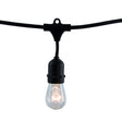 Bulbrite 812312 Bulbrite 30-foot String Light Kit with Clear Vintage Style S14 Incandescent Light Bulbs