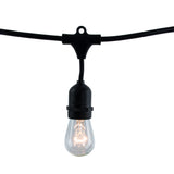 Bulbrite 862820 Bulbrite 48-foot String Light Kit with Clear Vintage Style S14 Incandescent Light Bulbs, 2-pk