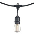 Bulbrite 812483 Bulbrite 48-foot String Light Kit with Clear Shatter Resistant Vintage Style S14 LED Light Bulbs