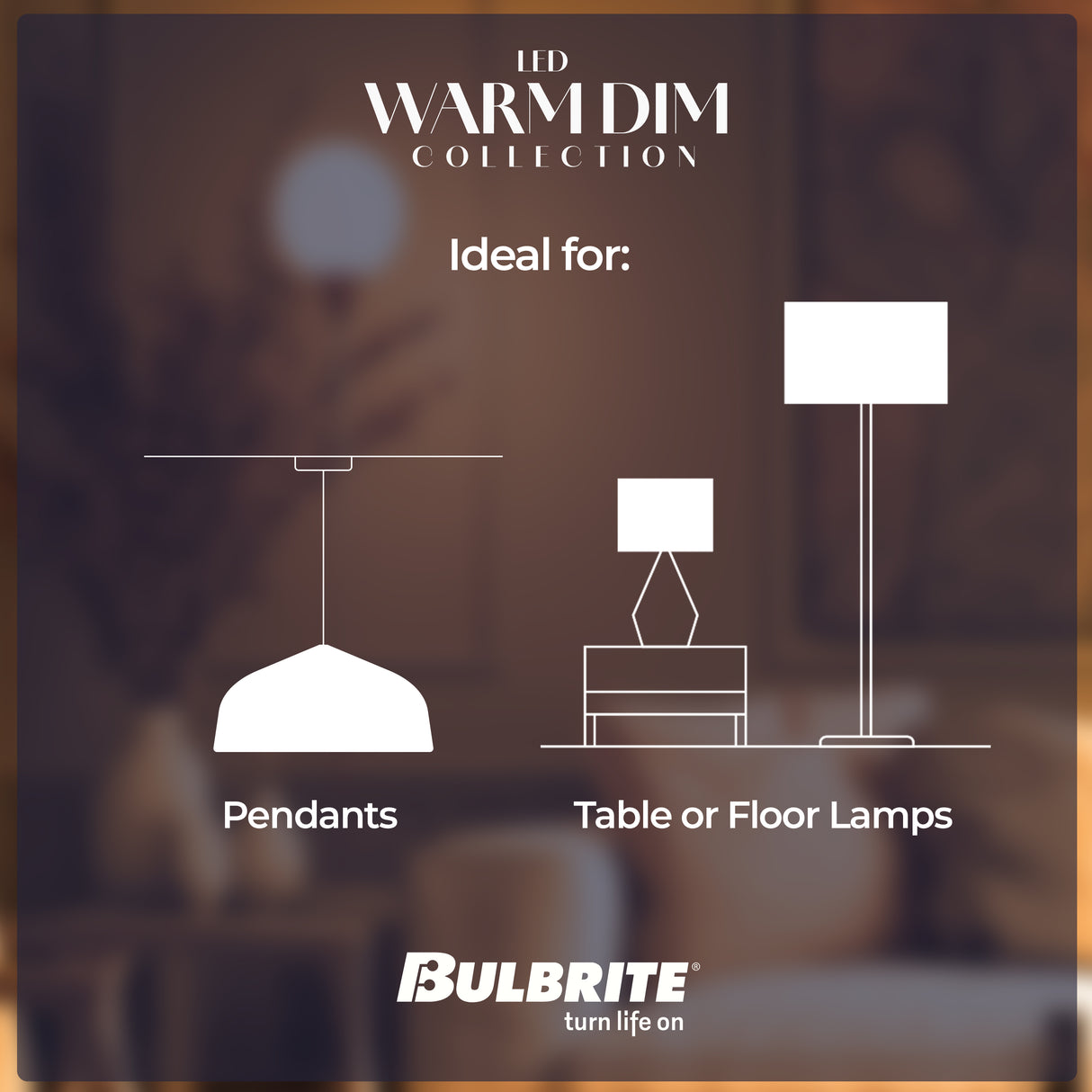 Bulbrite 862889 Bulbrite 9 Watt LED ST18 Light Bulbs, Warm Dimming 3000K (Soft White) - 1800K (Candlelight), 800 Lumens, (2 Pack)