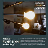 Bulbrite 862889 Bulbrite 9 Watt LED ST18 Light Bulbs, Warm Dimming 3000K (Soft White) - 1800K (Candlelight), 800 Lumens, (2 Pack)