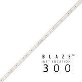 Diode LED DI-24V-BLBSC3-27-W100 100ft Spool Blaze 300+ Lumen Per Foot Wet Location LED Tape Light 2700K 24V DC