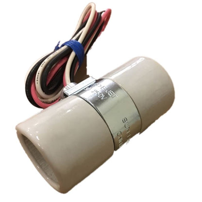 LH0418-W24 E26/E27 medium base dual lamp holder/socket with 1/8 IPS bushing 24 inch Leads