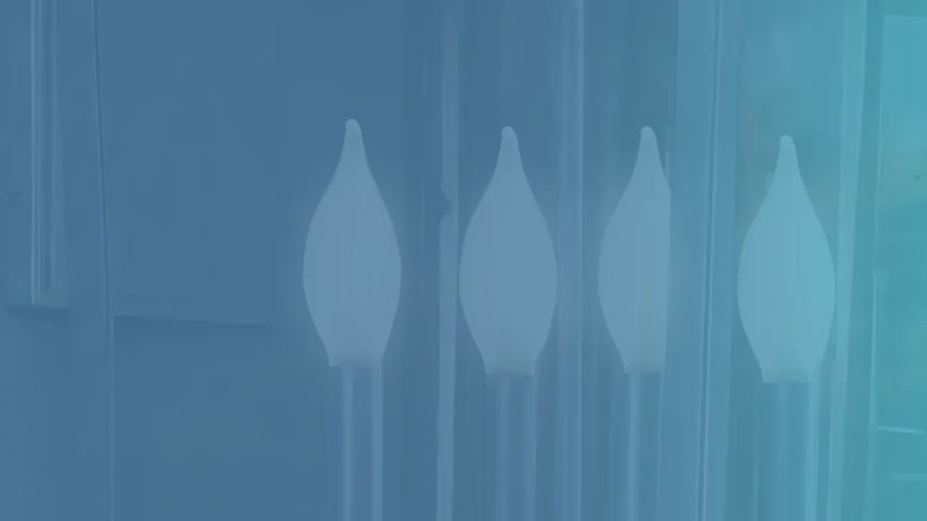 Bulbrite 861974 25W Incandescent C11 Light Bulb Dimmable E12 160 Lumens 130V 25PK