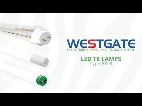 Westgate T8-HL-8FT-40W-50K-F 40W 8ft LED T8 Tubes Frosted Polycarbonate Lens 5000K Type B 120-277V