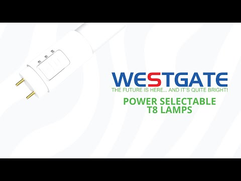 Westgate T8-EZX-TB-4FT-12-18W-50K-C 12W/15W/18W 4ft T8 LED T8 Tube Clear Glass 5000K Type B 120-277V