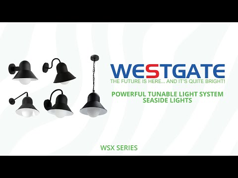 Westgate WSX-20-40W-MCTP-45DA 20W/30W/40W LED Seaside Light 45-Degree Arm 30K/40K/50K 120-277V