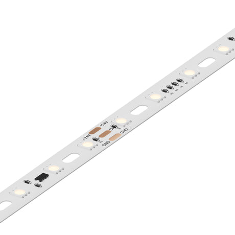 Diode LED DI-24V-SQ2-RGB-PIX-016 16.4ft Spool Squiggly Pixel RGB LED Tape Light 24V